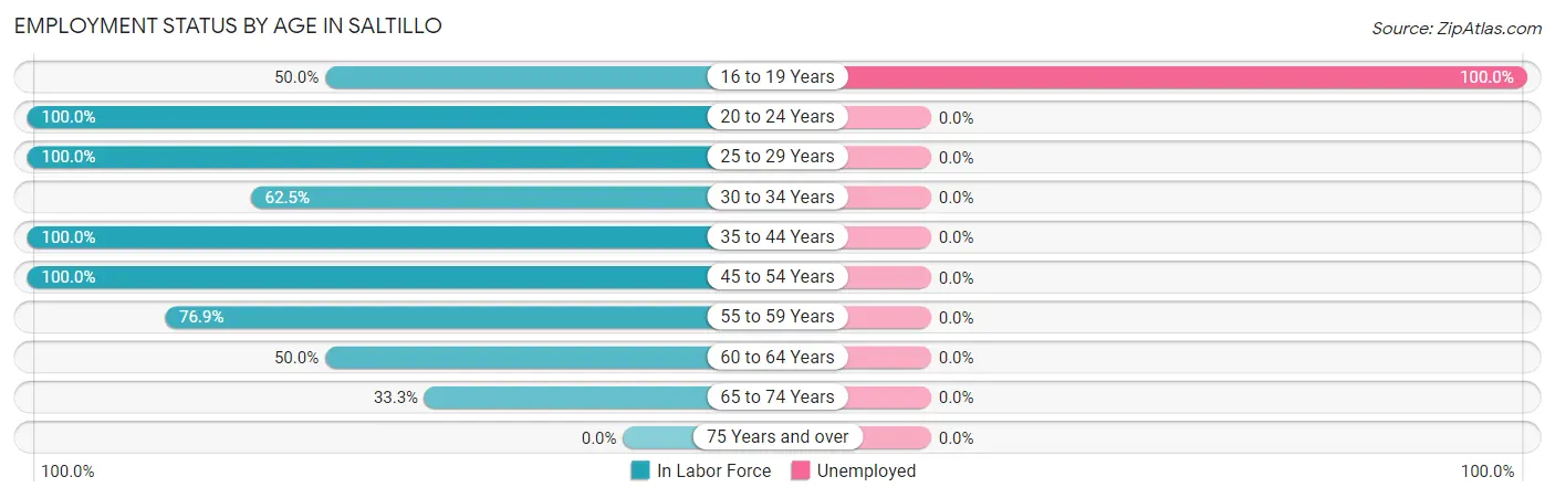 Employment Status by Age in Saltillo