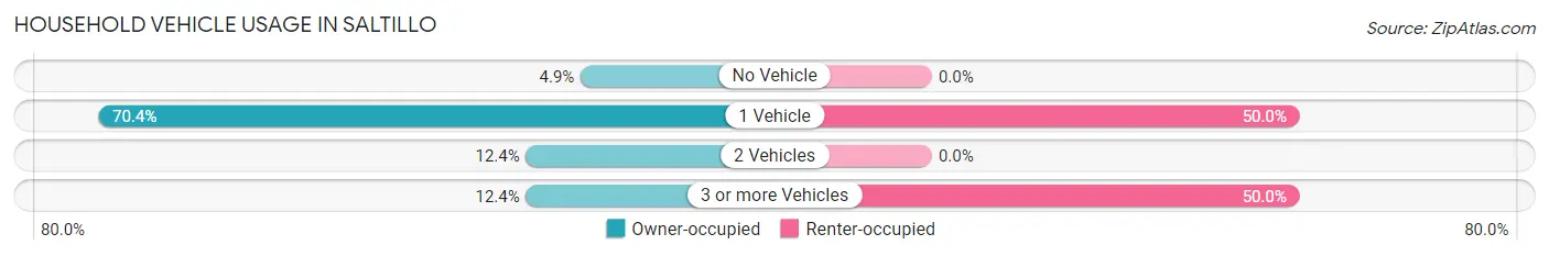 Household Vehicle Usage in Saltillo