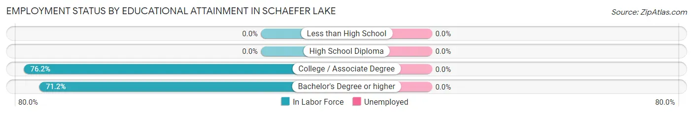 Employment Status by Educational Attainment in Schaefer Lake