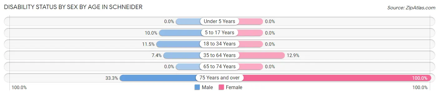 Disability Status by Sex by Age in Schneider