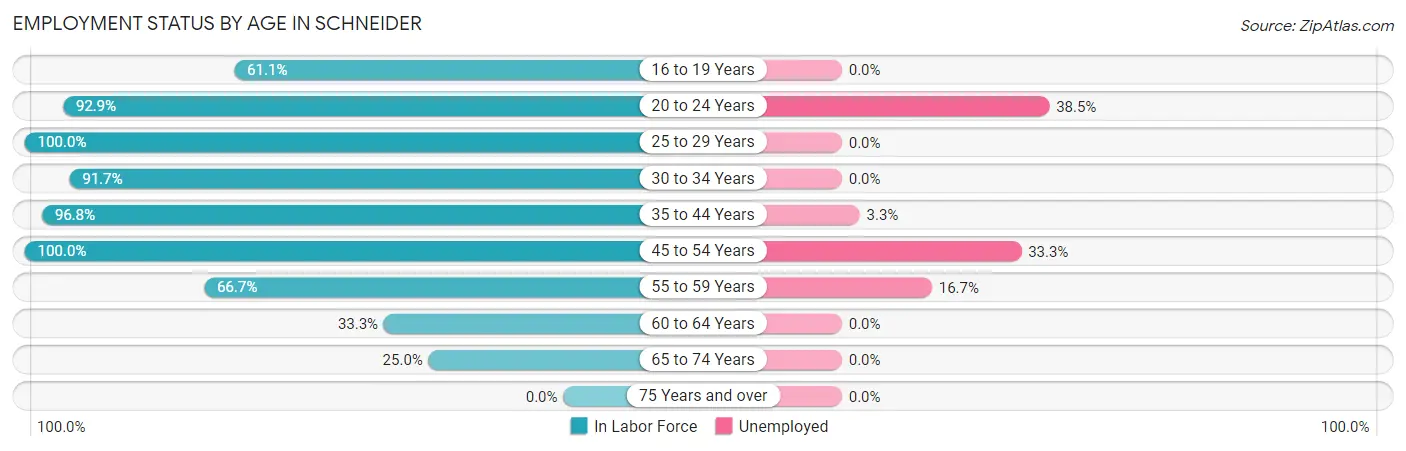 Employment Status by Age in Schneider