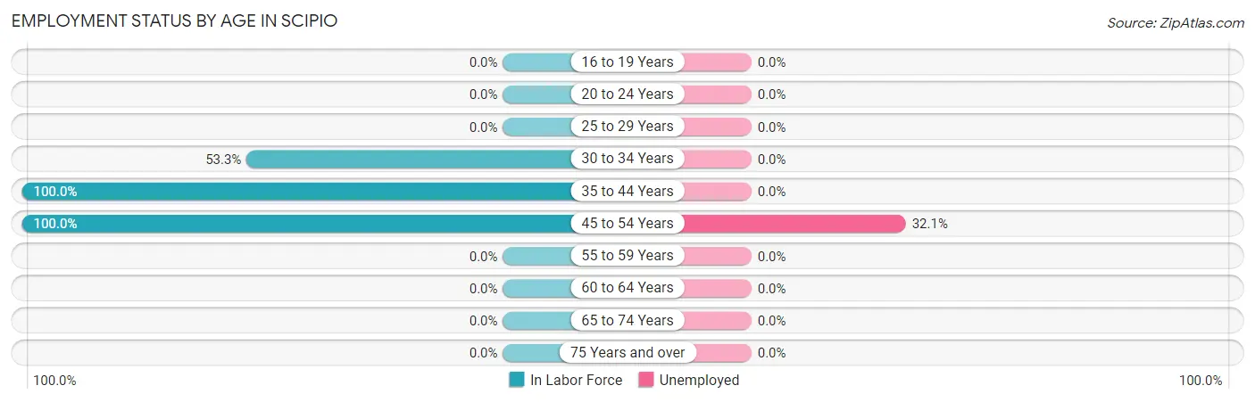 Employment Status by Age in Scipio