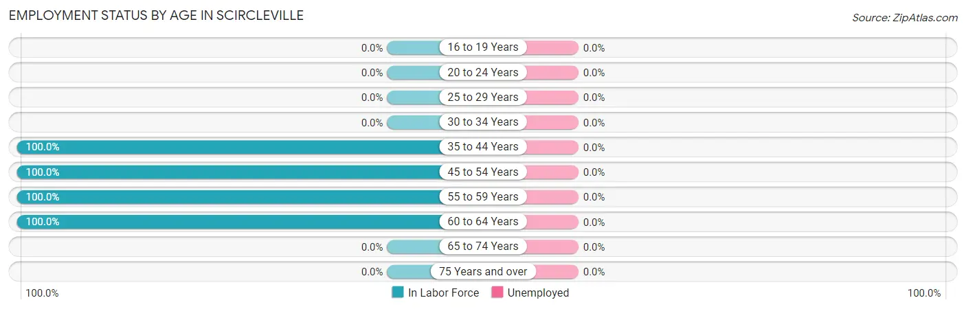Employment Status by Age in Scircleville