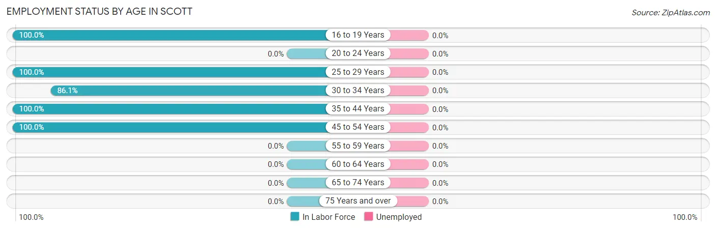 Employment Status by Age in Scott