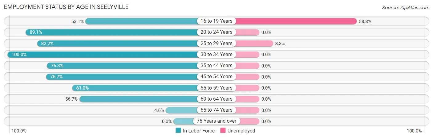 Employment Status by Age in Seelyville
