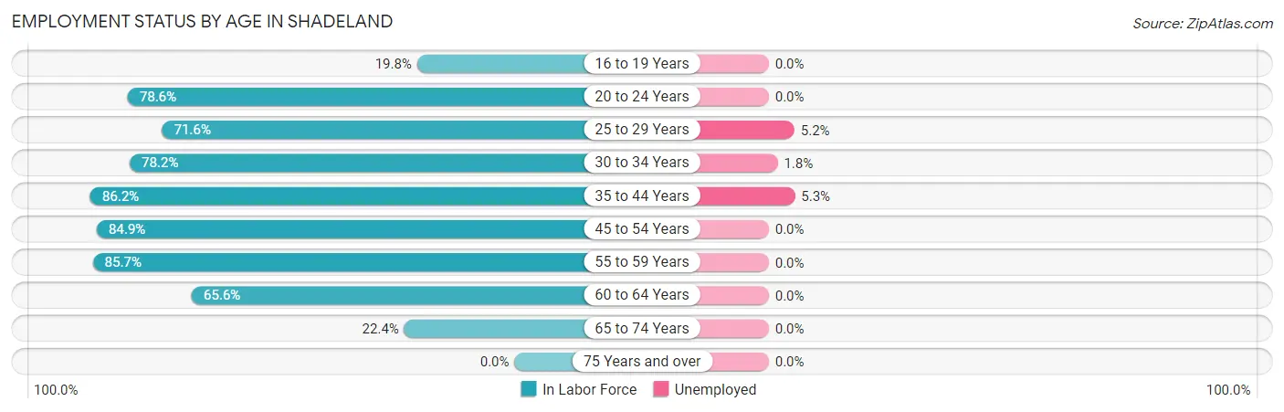 Employment Status by Age in Shadeland