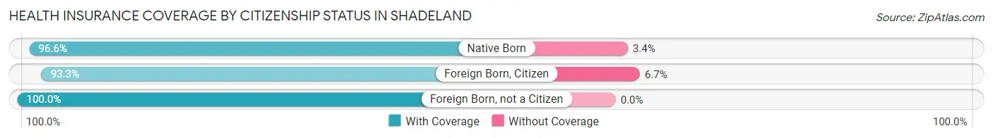 Health Insurance Coverage by Citizenship Status in Shadeland