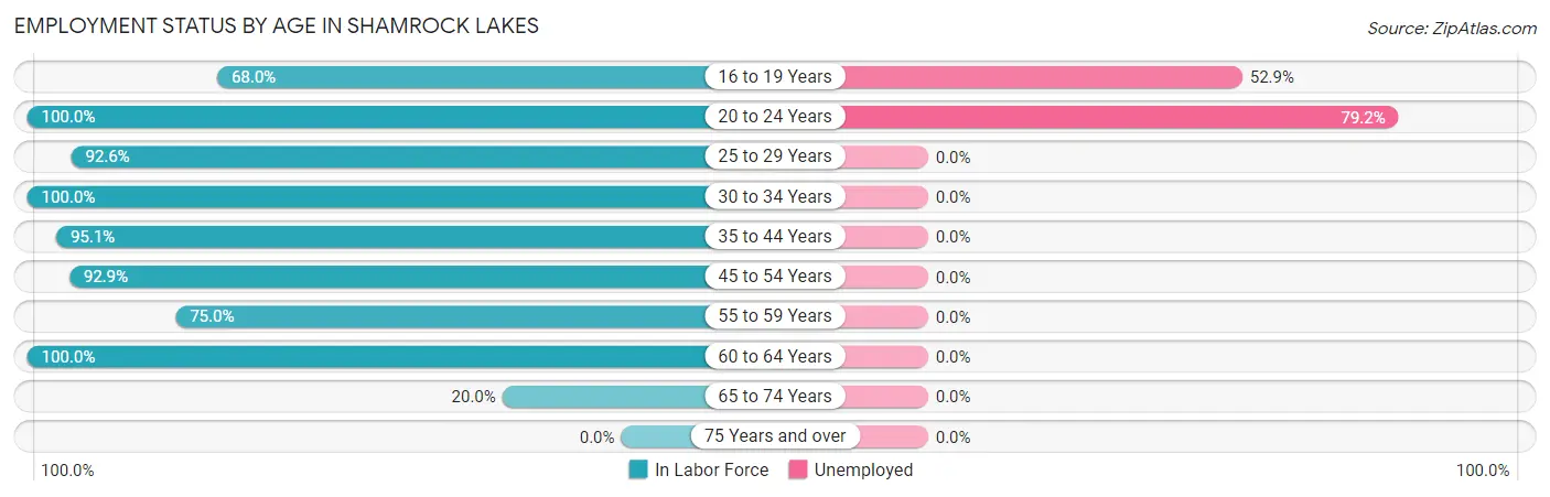 Employment Status by Age in Shamrock Lakes