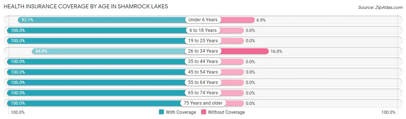 Health Insurance Coverage by Age in Shamrock Lakes