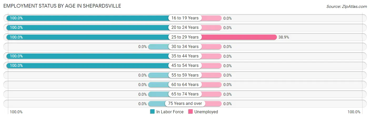 Employment Status by Age in Shepardsville