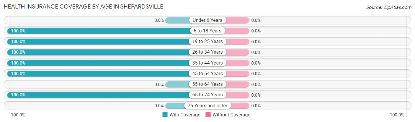 Health Insurance Coverage by Age in Shepardsville