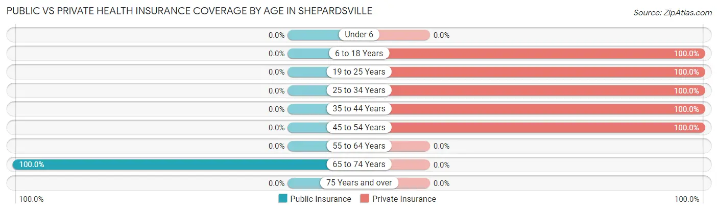 Public vs Private Health Insurance Coverage by Age in Shepardsville