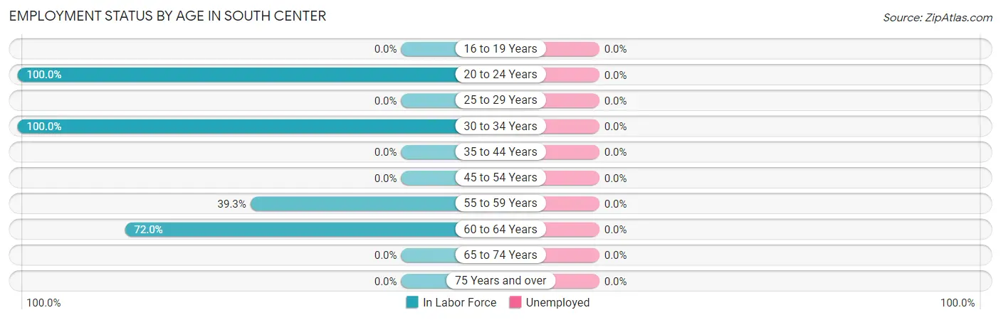 Employment Status by Age in South Center