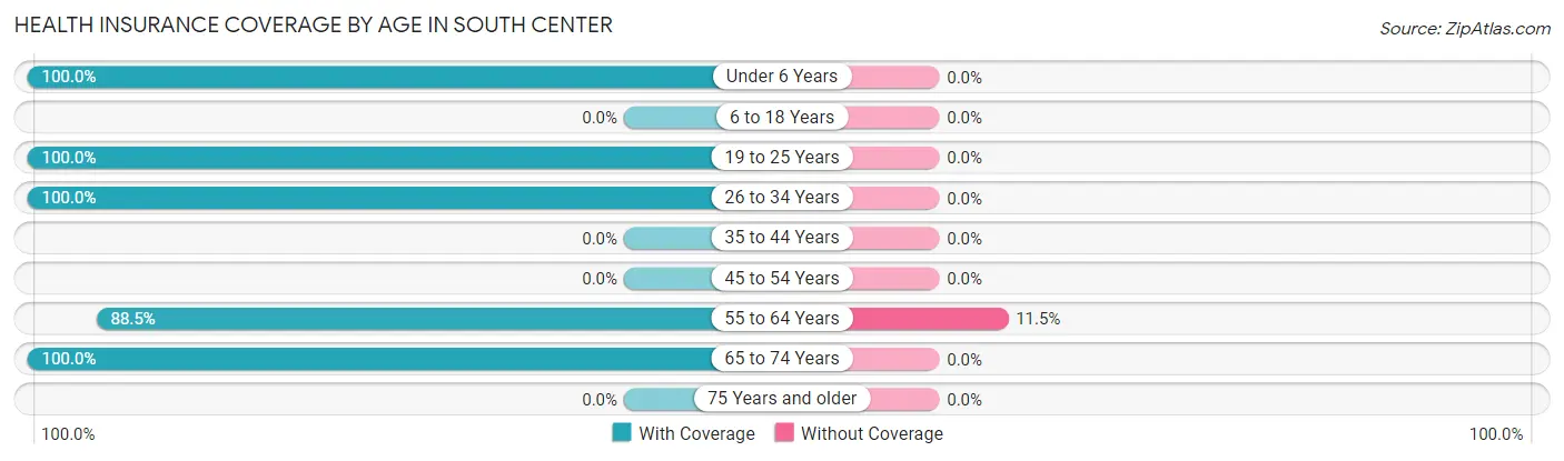 Health Insurance Coverage by Age in South Center