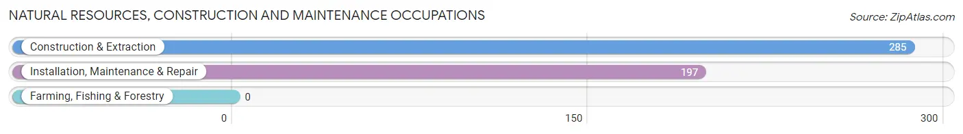 Natural Resources, Construction and Maintenance Occupations in South Haven