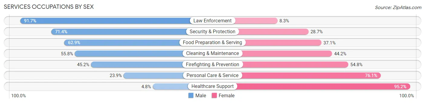 Services Occupations by Sex in Speedway