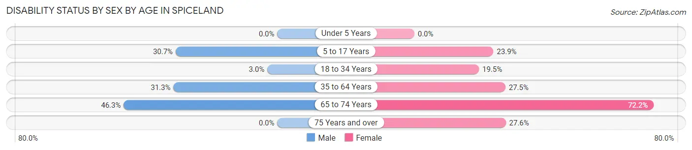 Disability Status by Sex by Age in Spiceland