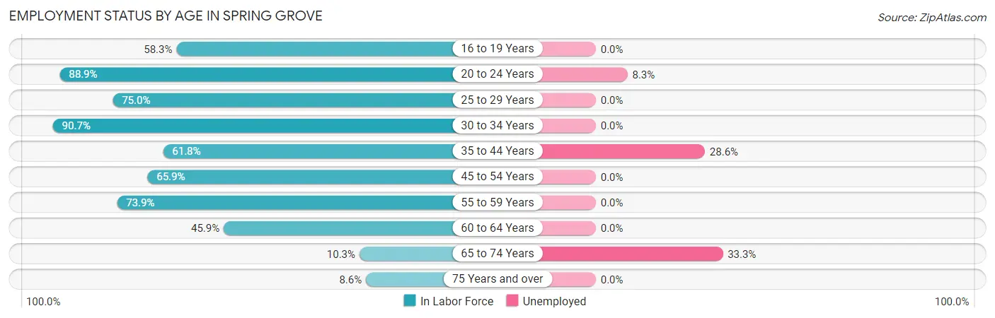 Employment Status by Age in Spring Grove