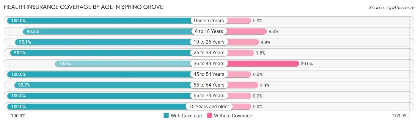 Health Insurance Coverage by Age in Spring Grove