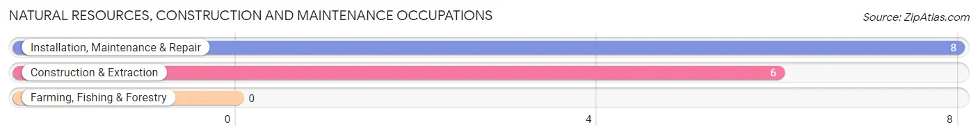 Natural Resources, Construction and Maintenance Occupations in Spring Grove