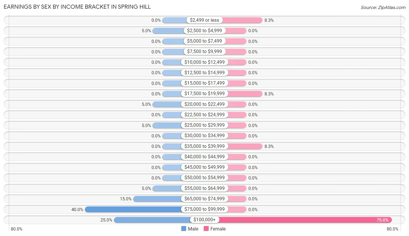 Earnings by Sex by Income Bracket in Spring Hill