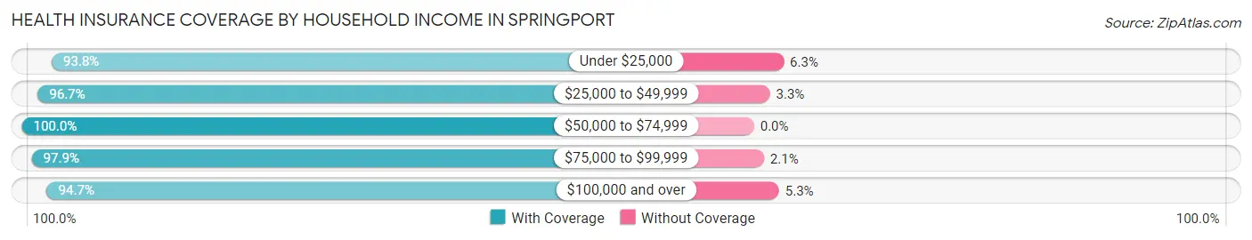 Health Insurance Coverage by Household Income in Springport