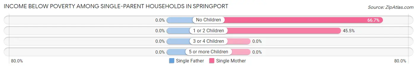 Income Below Poverty Among Single-Parent Households in Springport