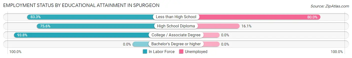 Employment Status by Educational Attainment in Spurgeon