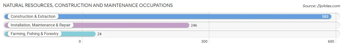 Natural Resources, Construction and Maintenance Occupations in St John