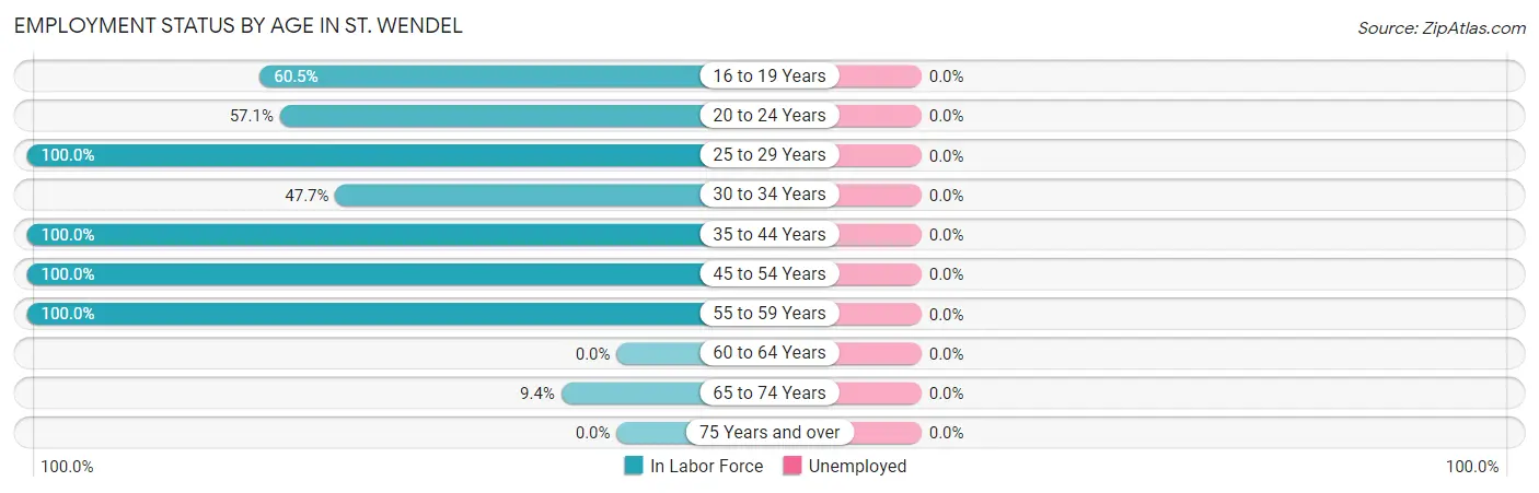 Employment Status by Age in St. Wendel