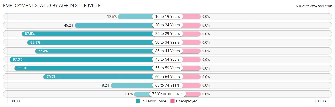 Employment Status by Age in Stilesville