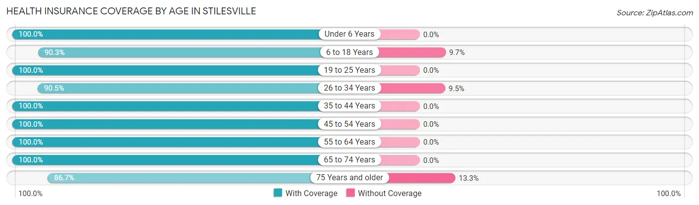 Health Insurance Coverage by Age in Stilesville
