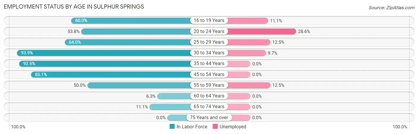 Employment Status by Age in Sulphur Springs