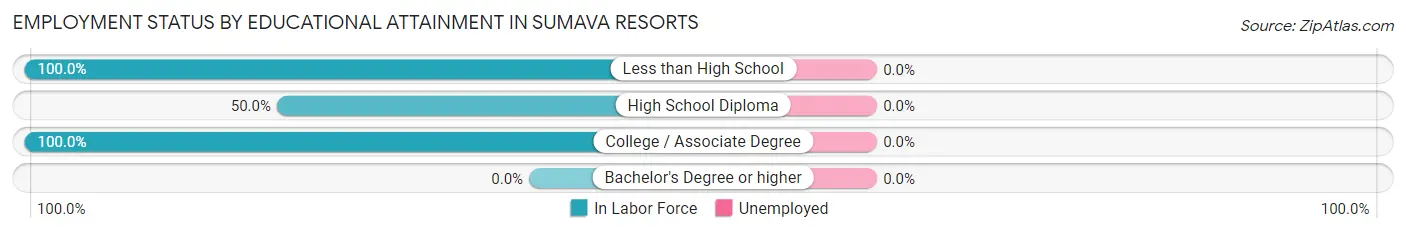 Employment Status by Educational Attainment in Sumava Resorts