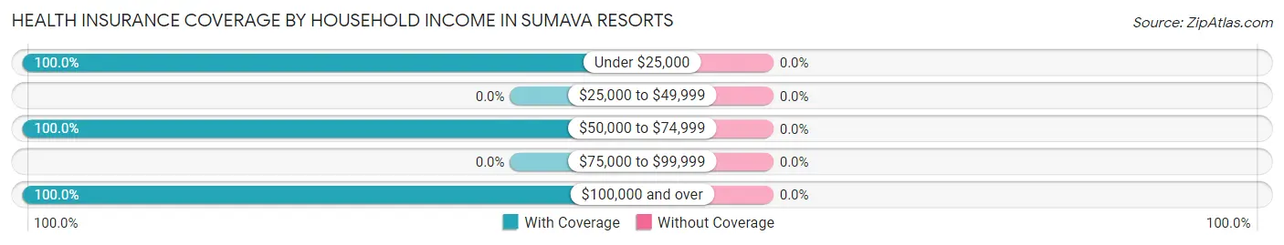 Health Insurance Coverage by Household Income in Sumava Resorts