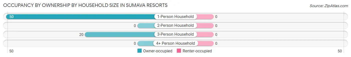 Occupancy by Ownership by Household Size in Sumava Resorts