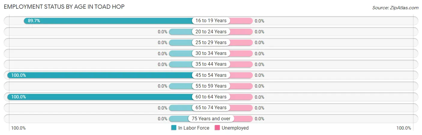 Employment Status by Age in Toad Hop