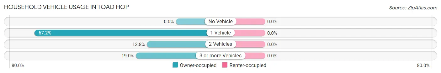 Household Vehicle Usage in Toad Hop