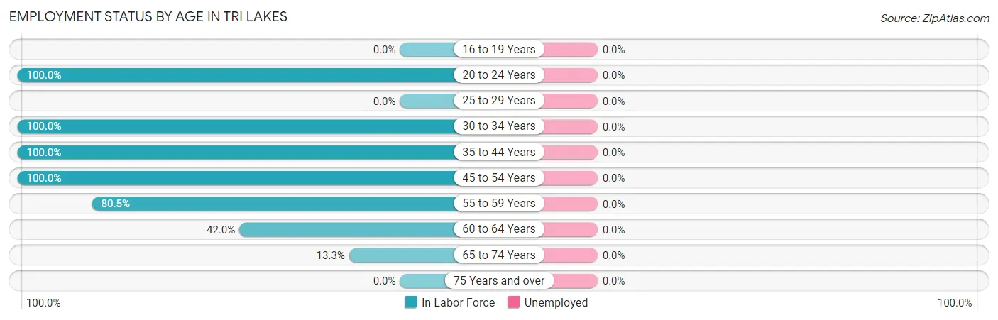 Employment Status by Age in Tri Lakes