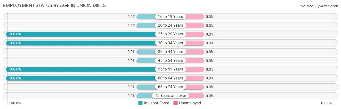 Employment Status by Age in Union Mills