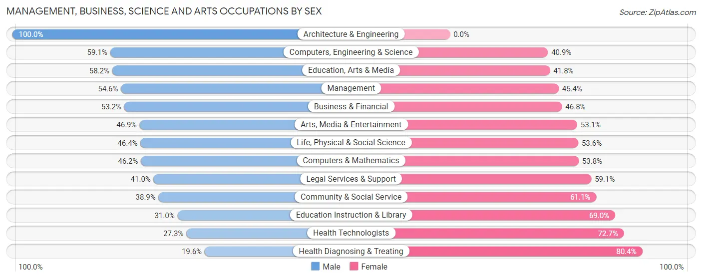 Management, Business, Science and Arts Occupations by Sex in Valparaiso