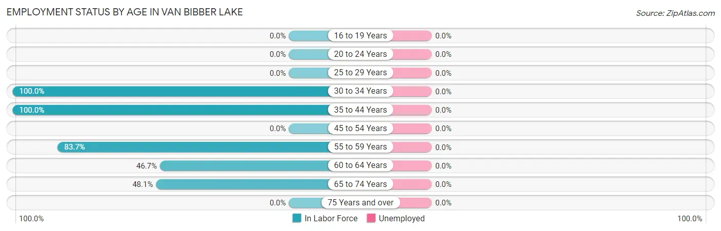 Employment Status by Age in Van Bibber Lake
