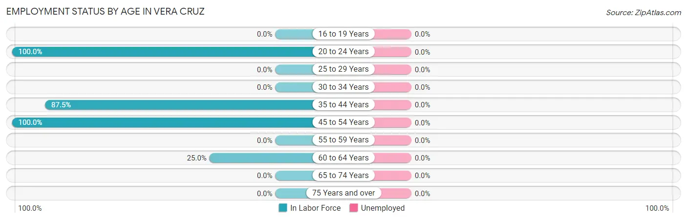 Employment Status by Age in Vera Cruz