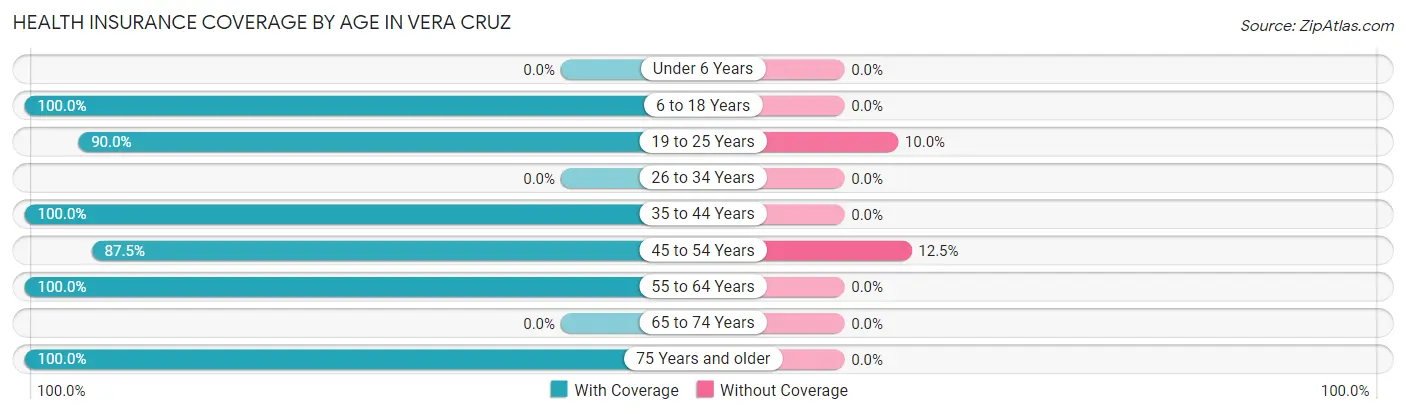 Health Insurance Coverage by Age in Vera Cruz