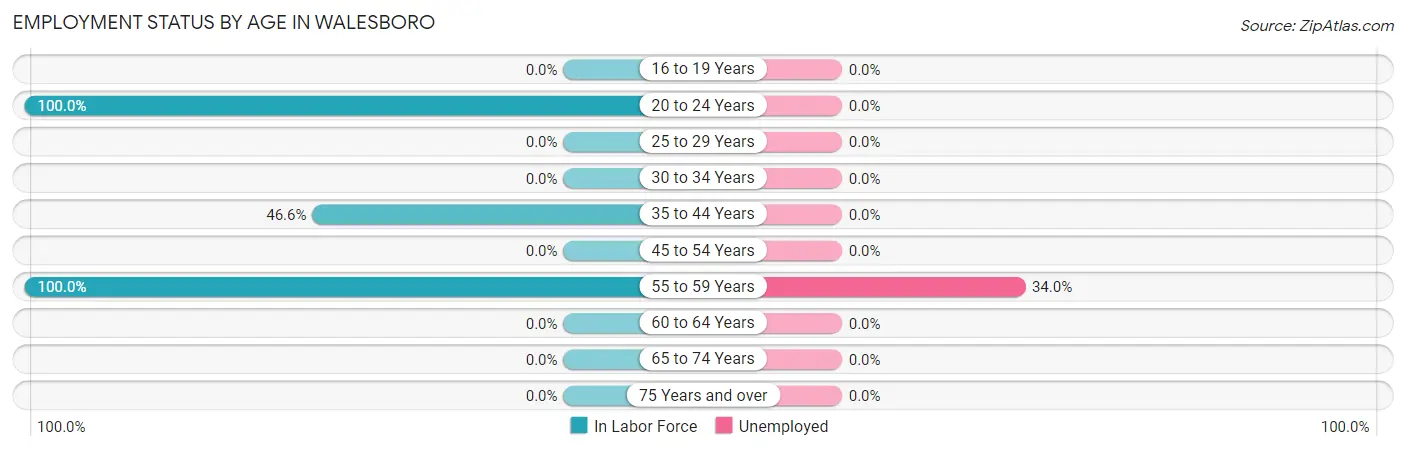 Employment Status by Age in Walesboro