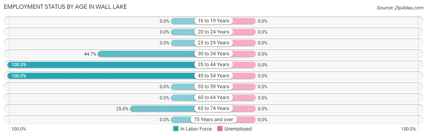 Employment Status by Age in Wall Lake