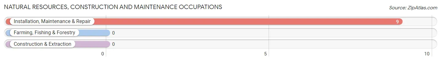 Natural Resources, Construction and Maintenance Occupations in Waynesville