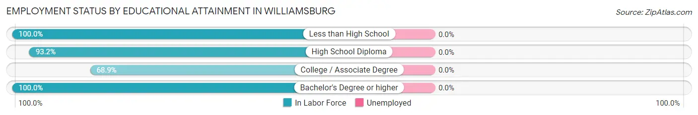 Employment Status by Educational Attainment in Williamsburg