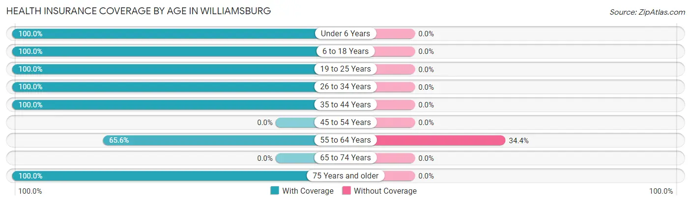 Health Insurance Coverage by Age in Williamsburg