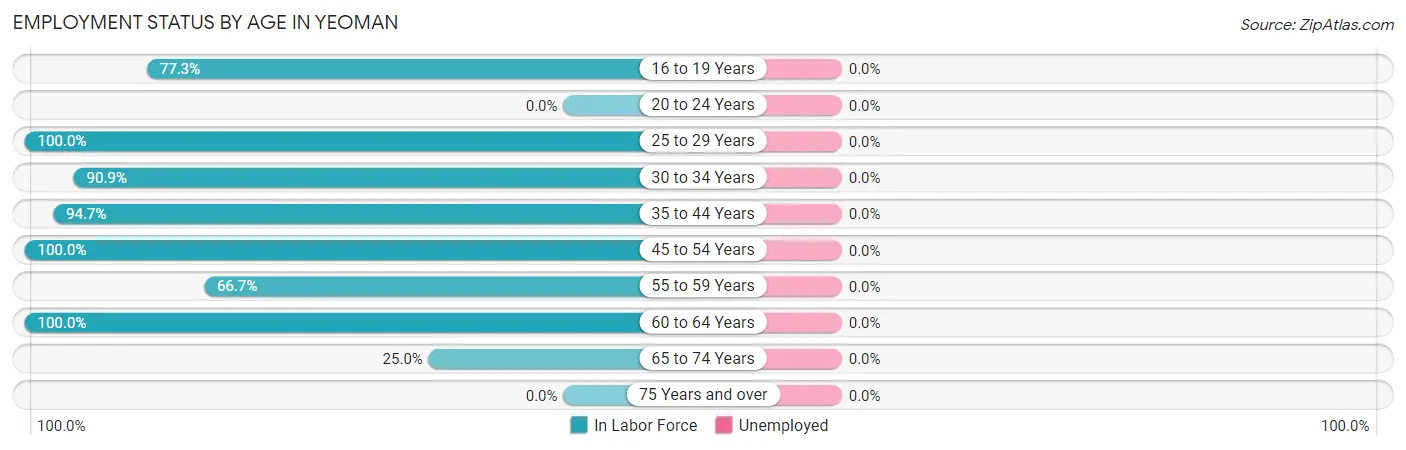 Employment Status by Age in Yeoman
